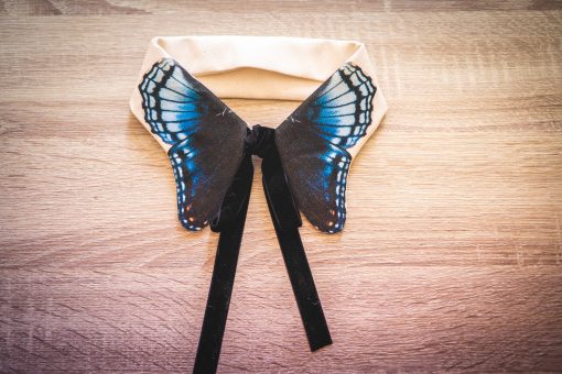 papillon bleu memnon col tissu