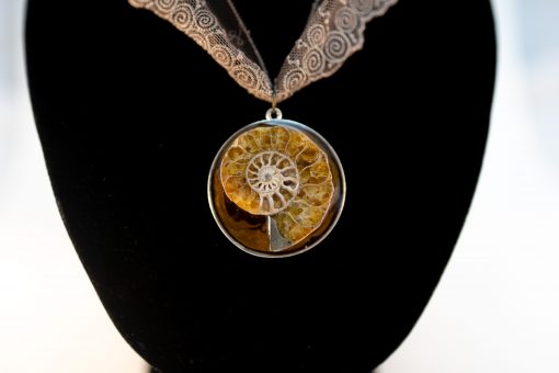 Nautile Ammonite naturelle ras de cou collier steampunk