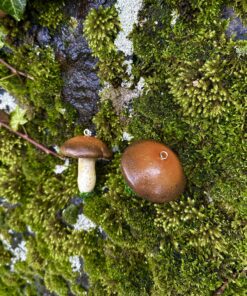 Alternative view of Champignon déco Bolet