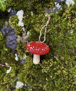 Champignon déco Amanite