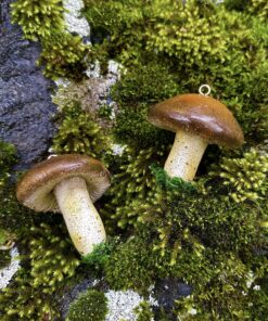 Champignon déco Bolet