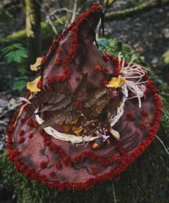 Alternative view of Chapeau de Sorcière «le Chant des Chanterelle»